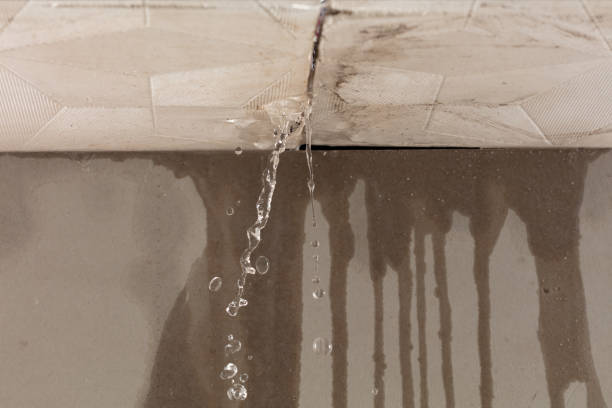 Professional Structural Drying technician working in Marissa, IL